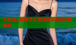 午夜成人视频平台 极速体验高清无限畅享